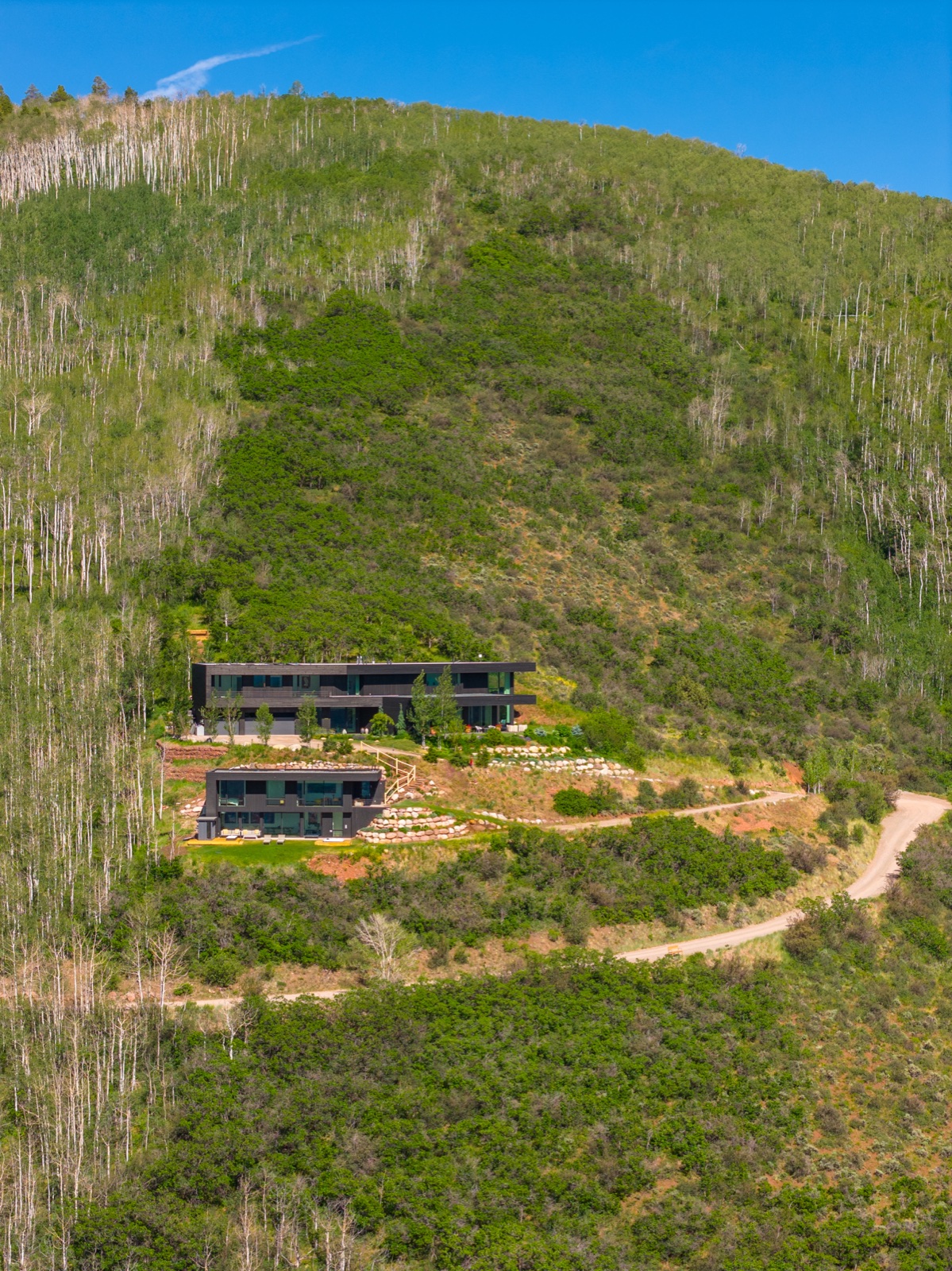 542 Carroll Drive from above. Both houses, and the hillside around them.