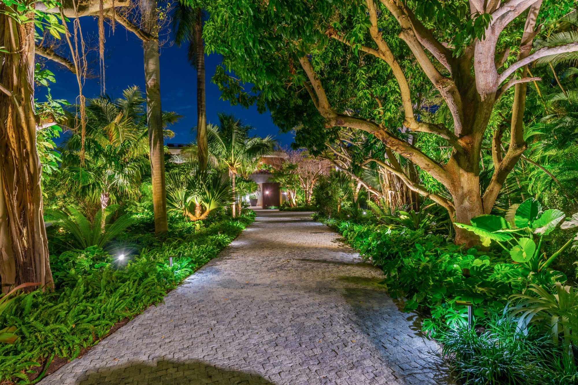 The approach to 22 Star Island — a canopy of mature tropical landscaping leading to the entrance that welcomed 500 Super Bowl guests.